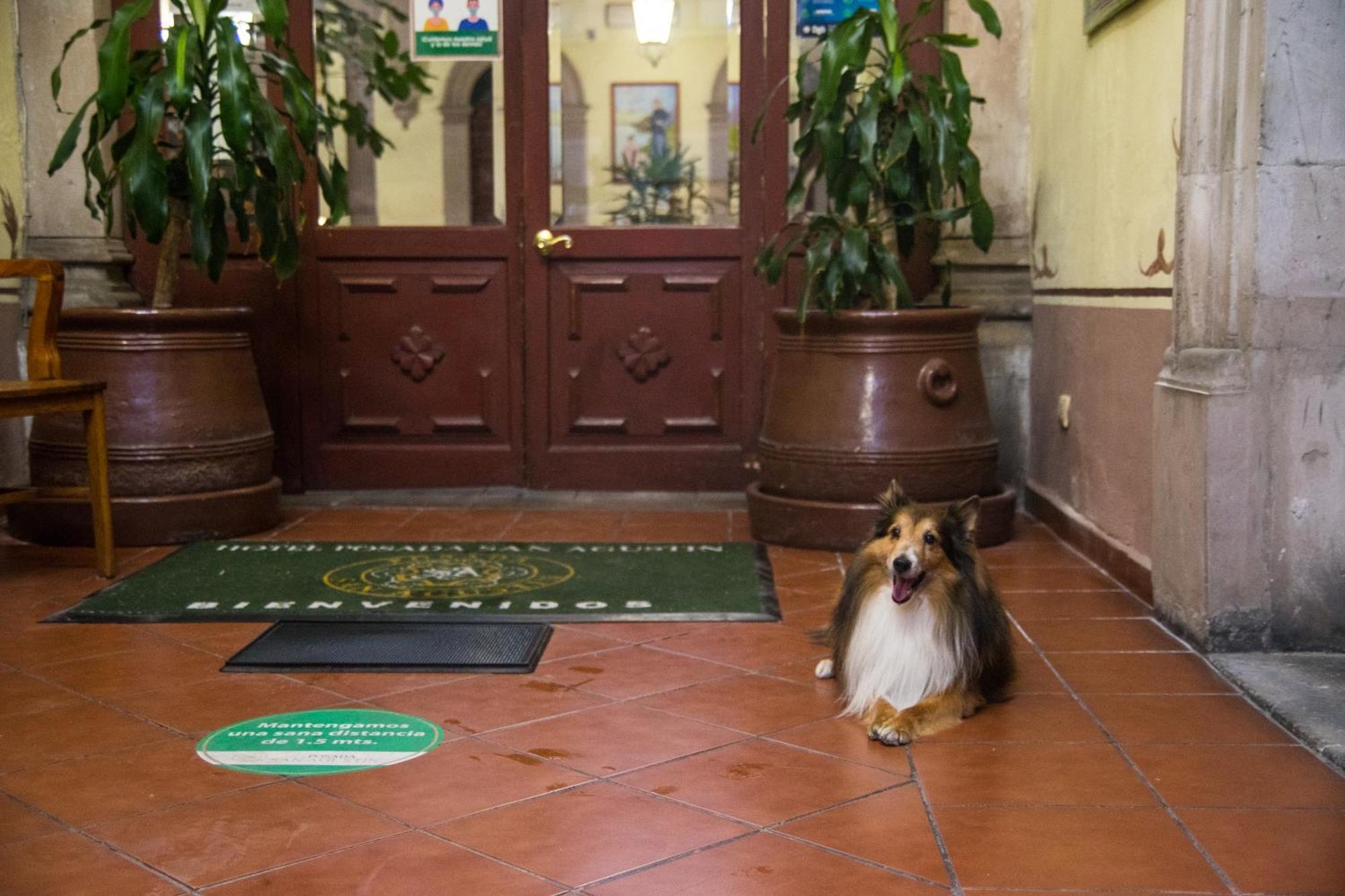 Hotel Posada San Agustin Durango Exteriér fotografie