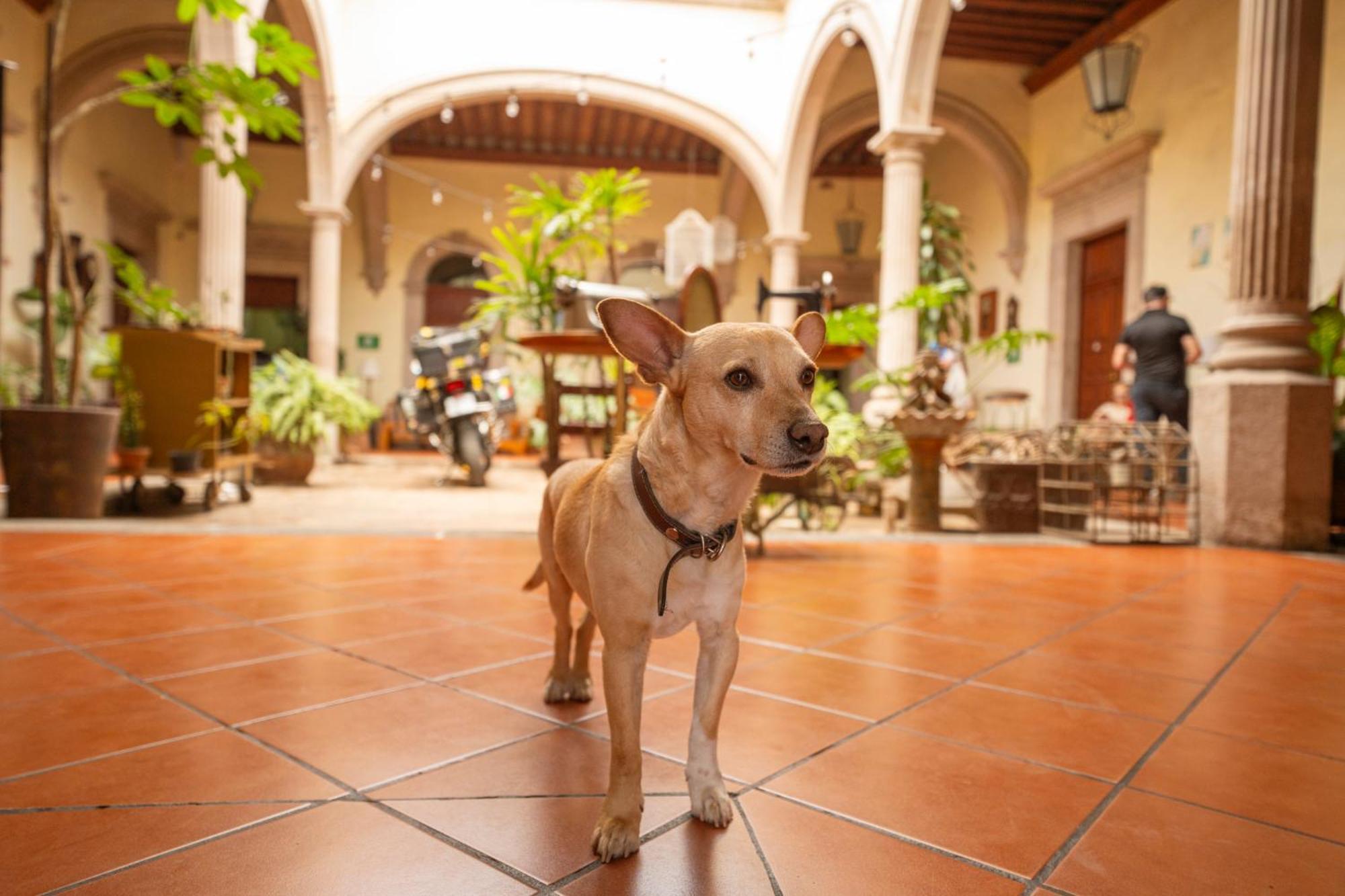 Hotel Posada San Agustin Durango Exteriér fotografie